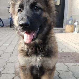 Nora vom Hopfenbachtal