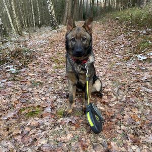 Juli vom Hopfenbachtal