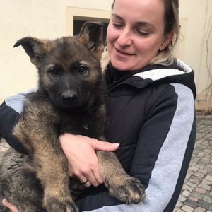 Loki vom Hopfenbachtal