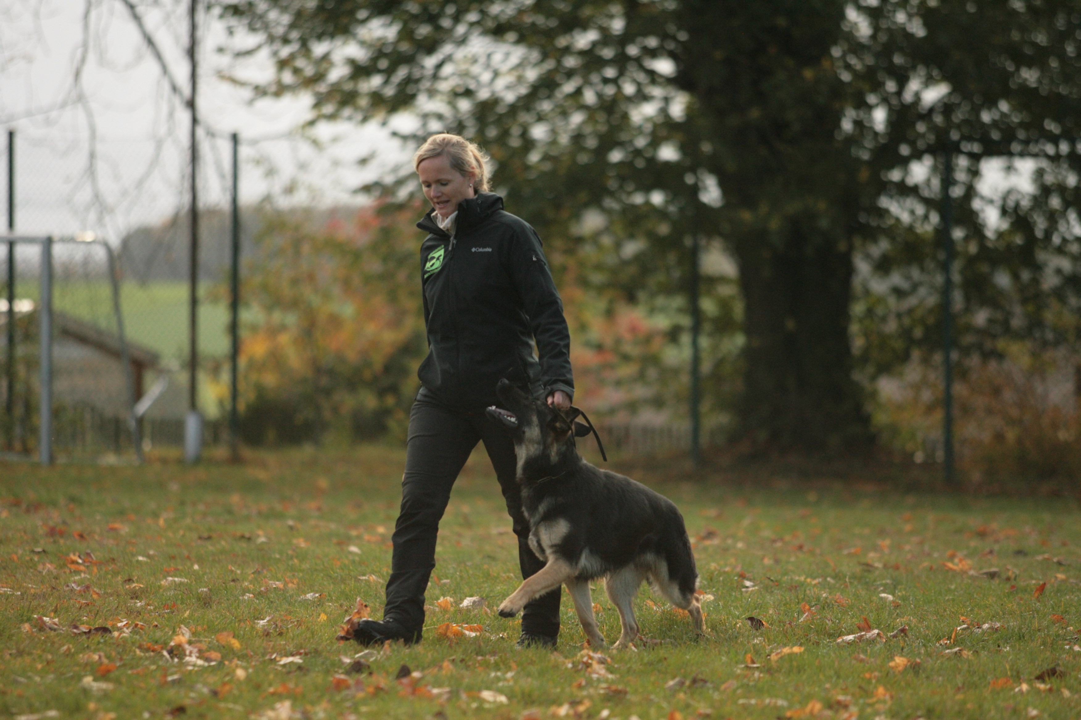 Becks vom Hopfenbachtal