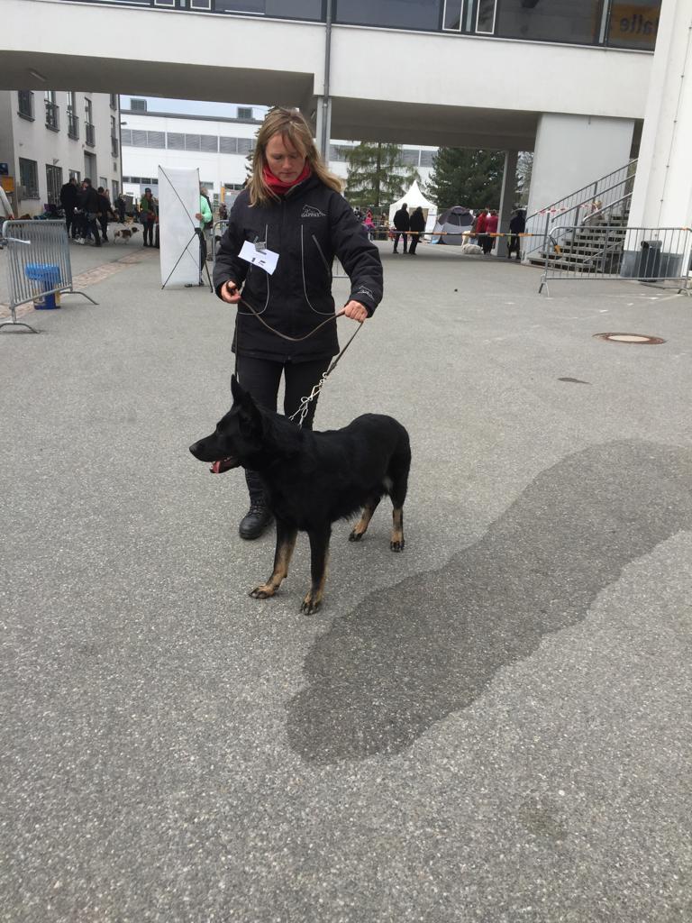 Jara von der Schillerstraße